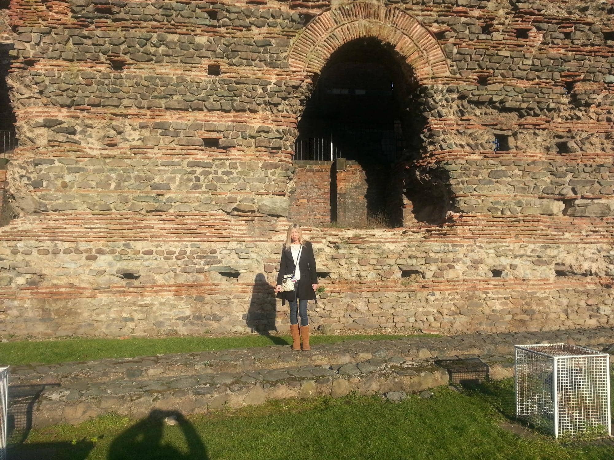 Roman Mosaics & Artifacts