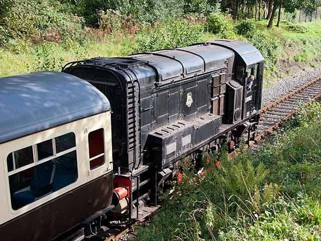 Calstock Viaduct Crossing