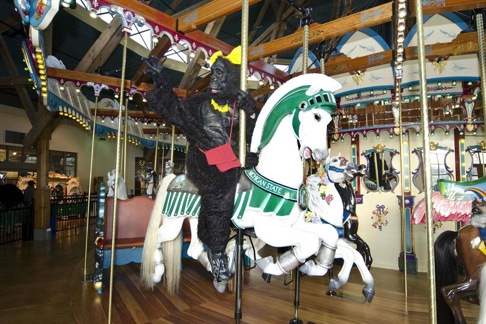 Splash Pad & Playground