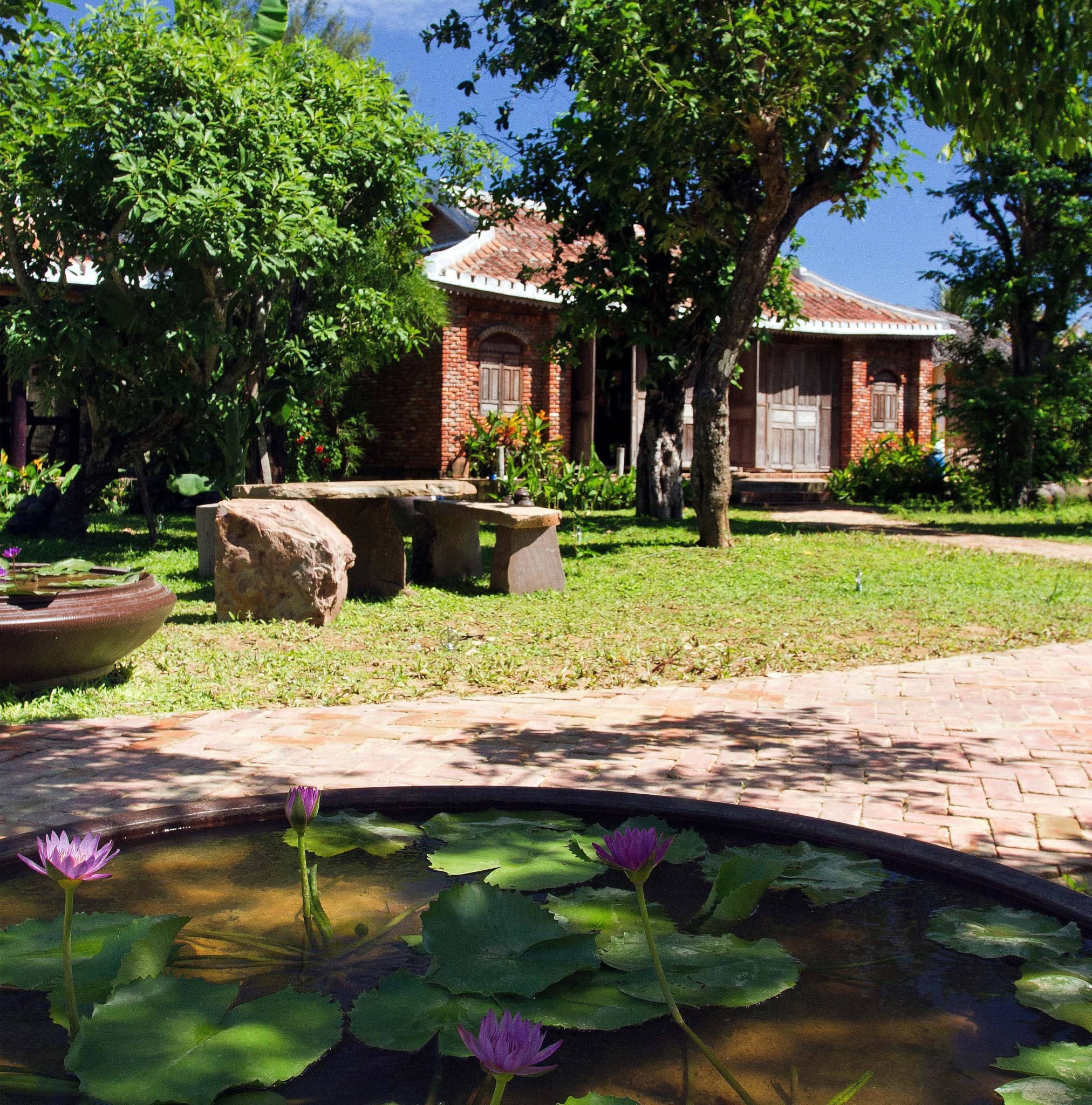 Silk Worms & Mulberry Feast