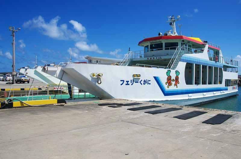 Carrot Farms & Local Life