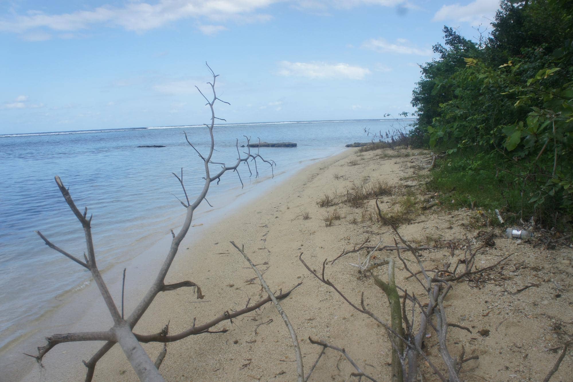 Island Exploration