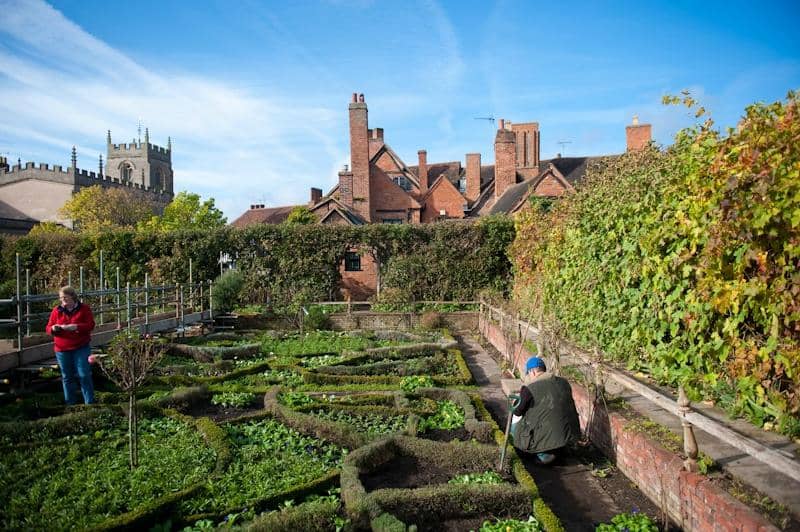 Shakespeare's Elizabethan Garden
