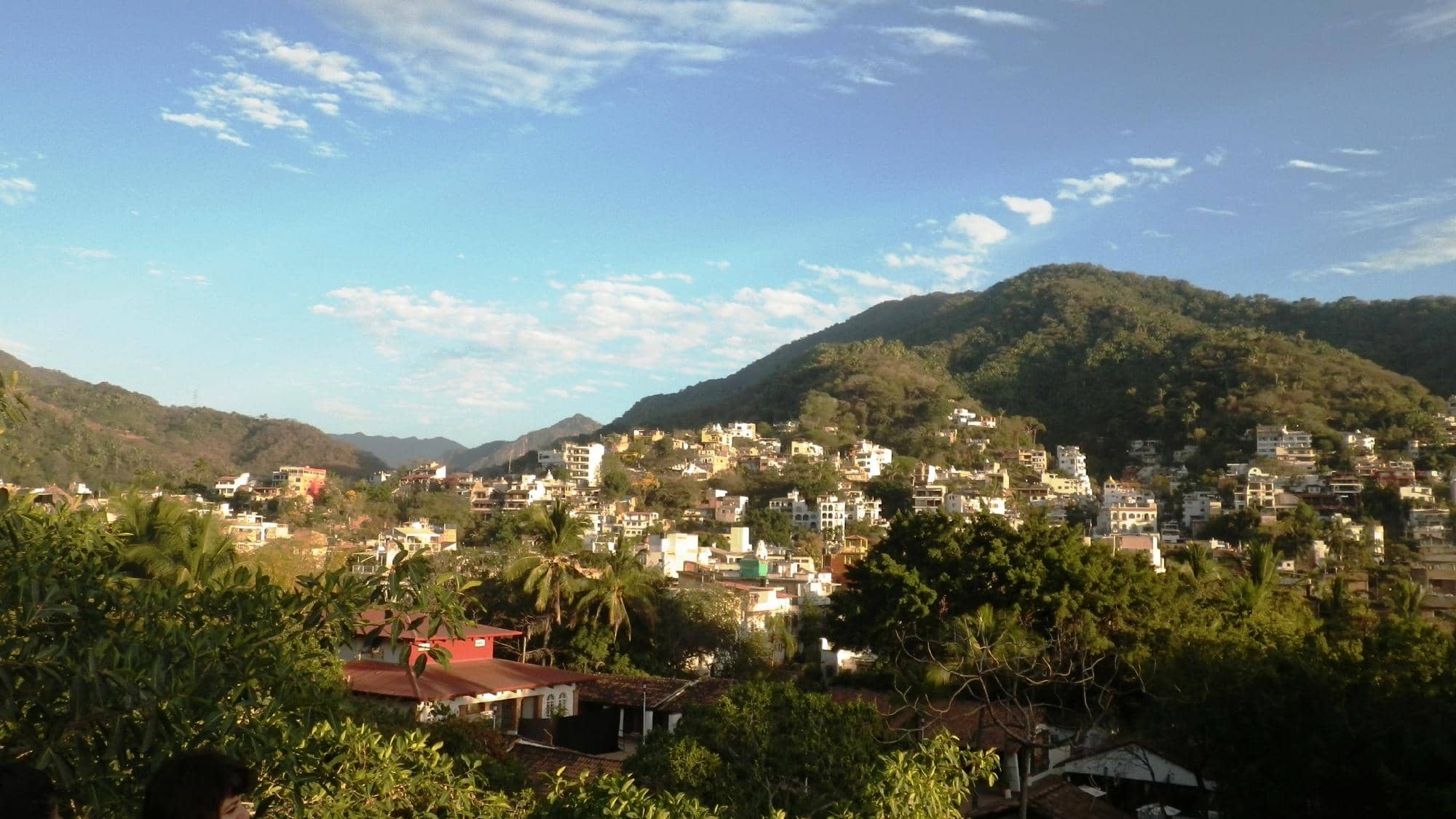 Exhibitions & Art Walks