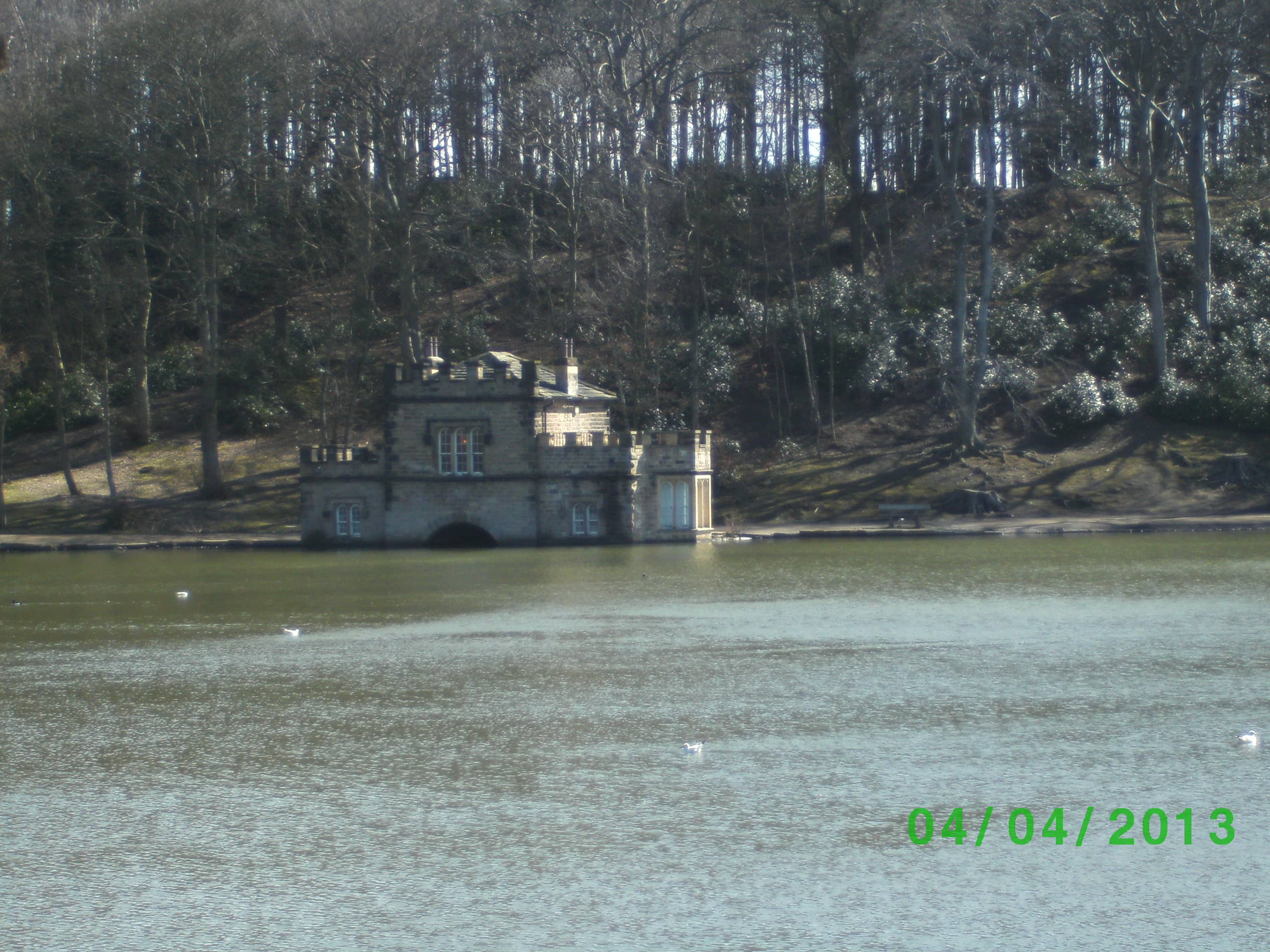 The Shimmering Lake