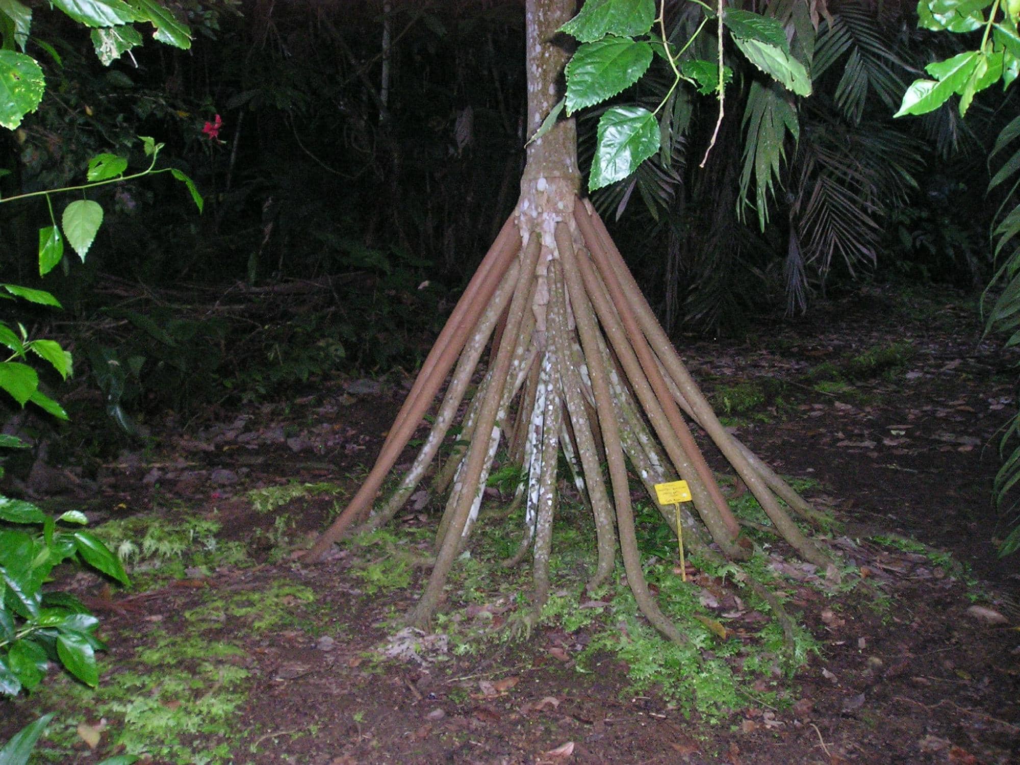 Family-Owned Farm Experience