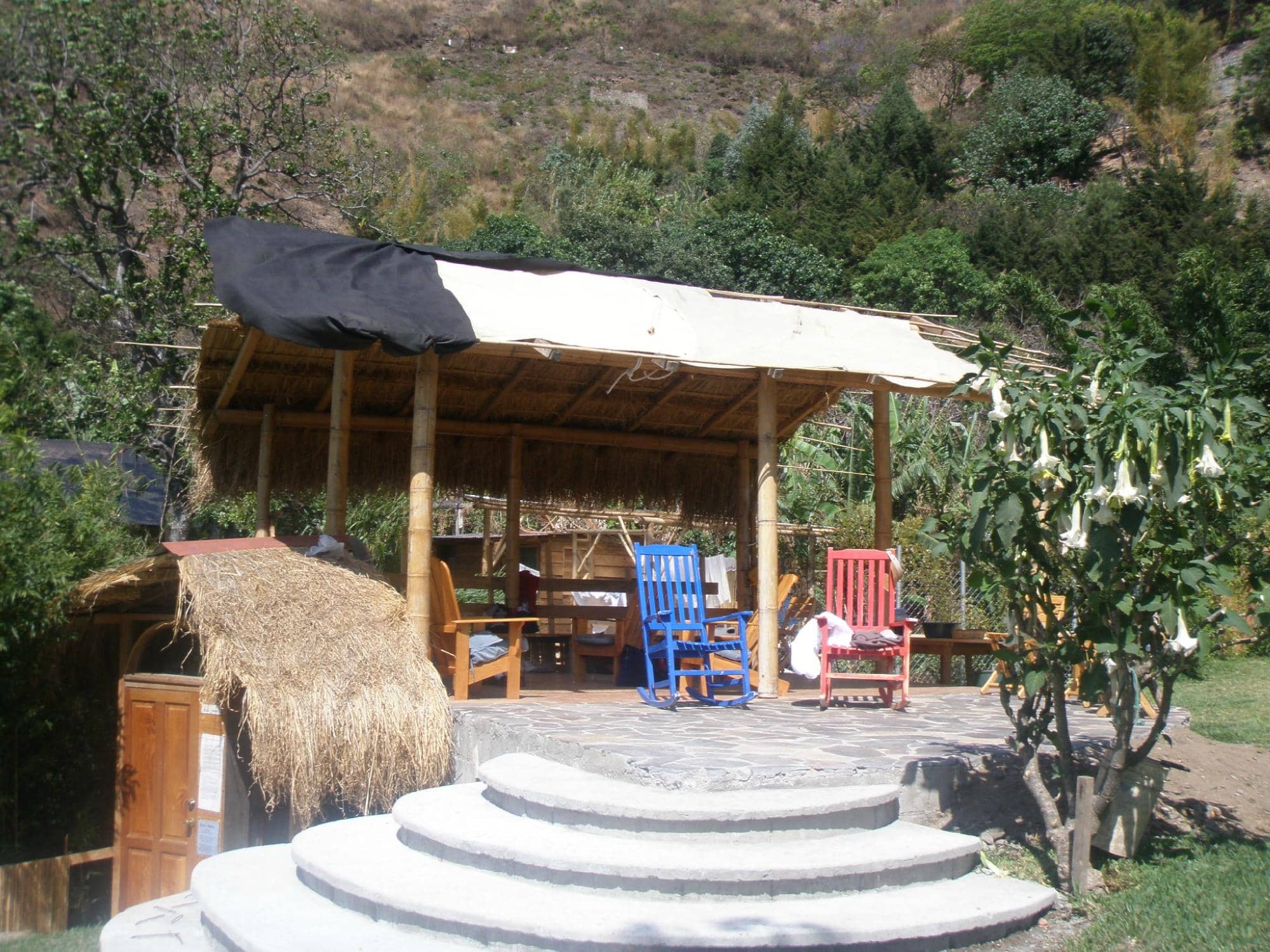 Expert Waxing Services