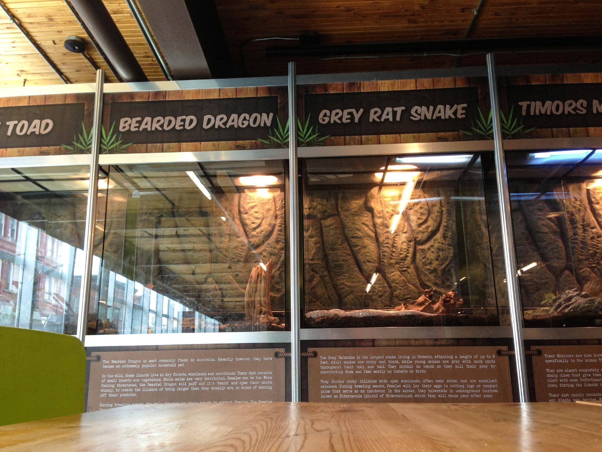 Makerspace & Basement Fun