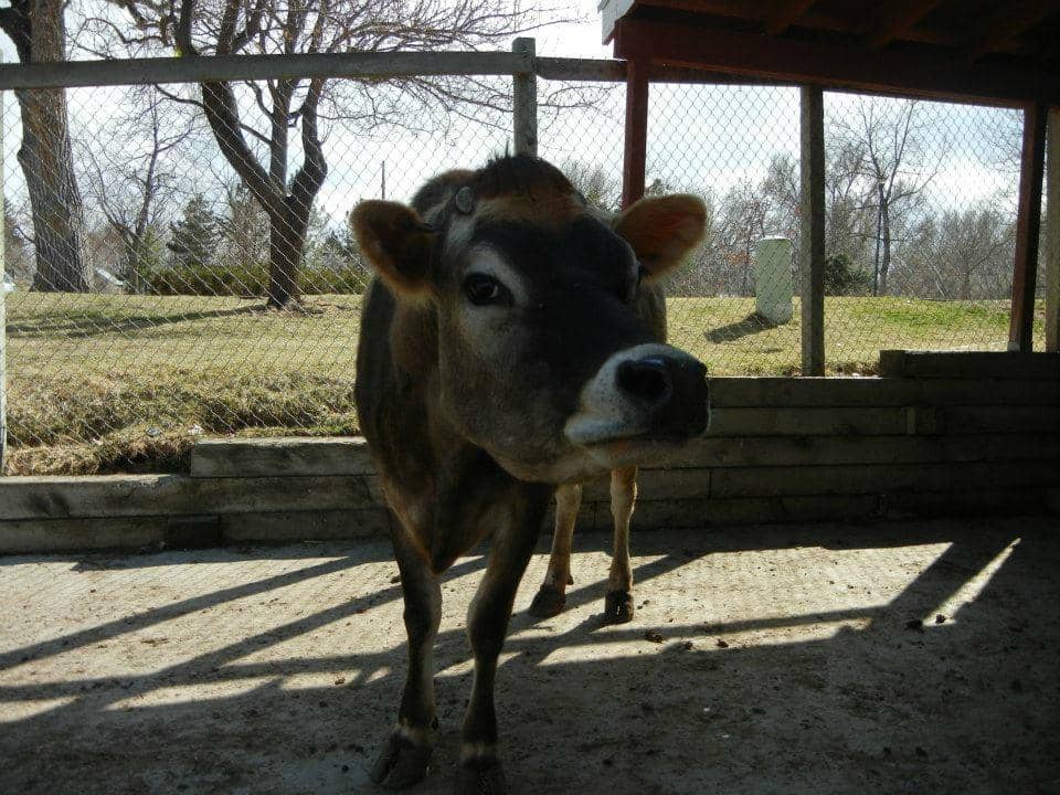 Expansive Playground