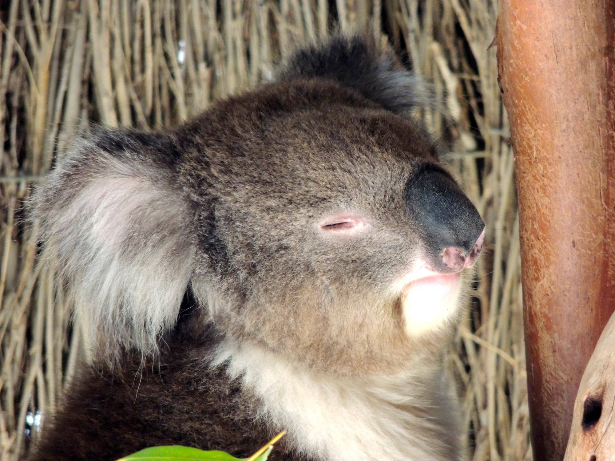 Interactive Keeper Talks