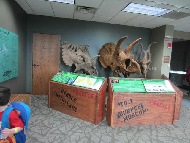 Fossil Prep Lab