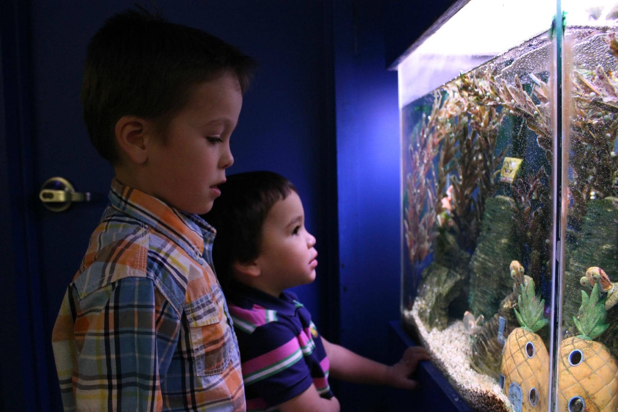 Special Exhibitions