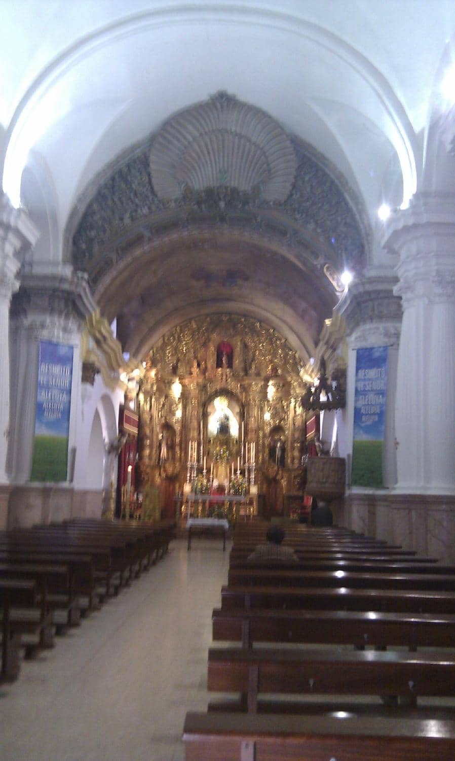 Vertical photo