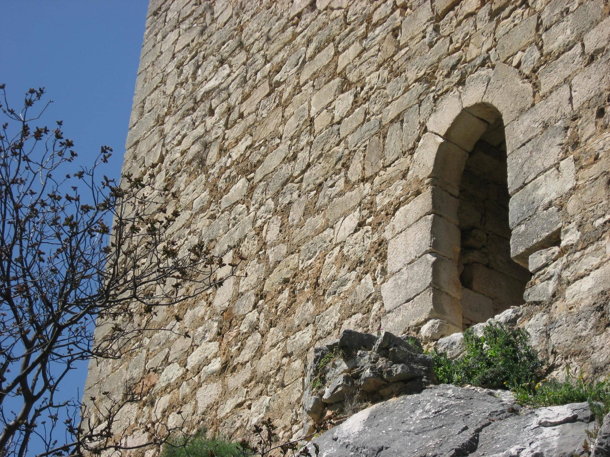 Vertical photo