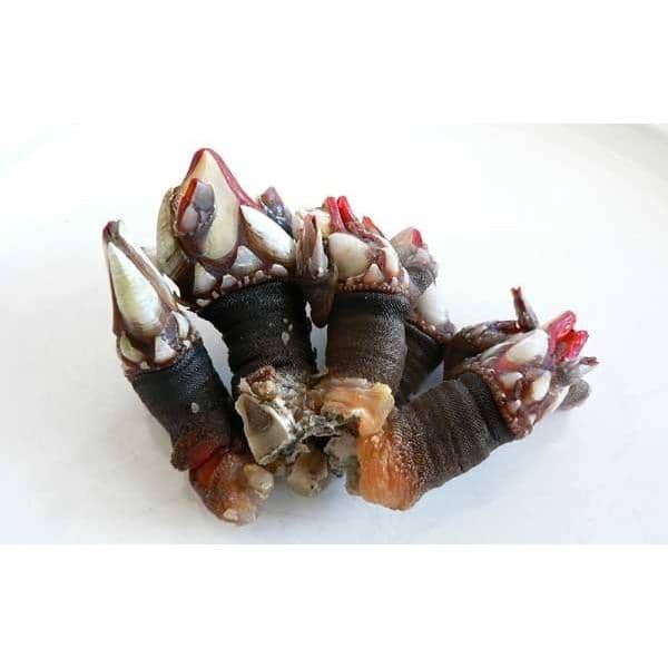 Charming Local Ambiance