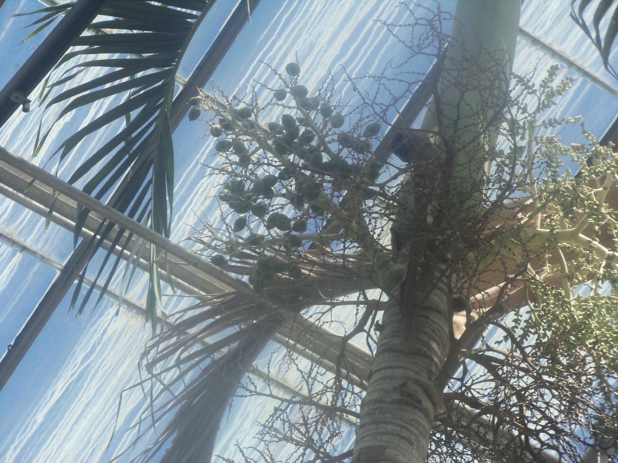 Unique Photo Opportunities