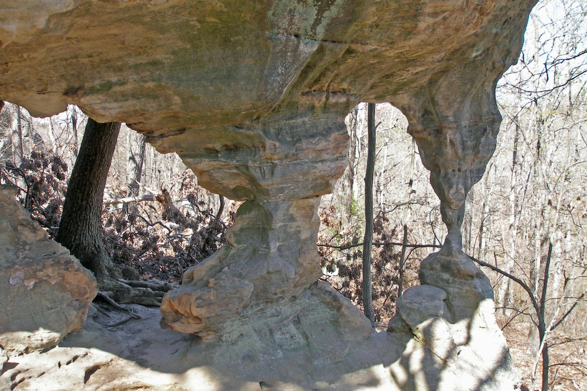 Vertical photo