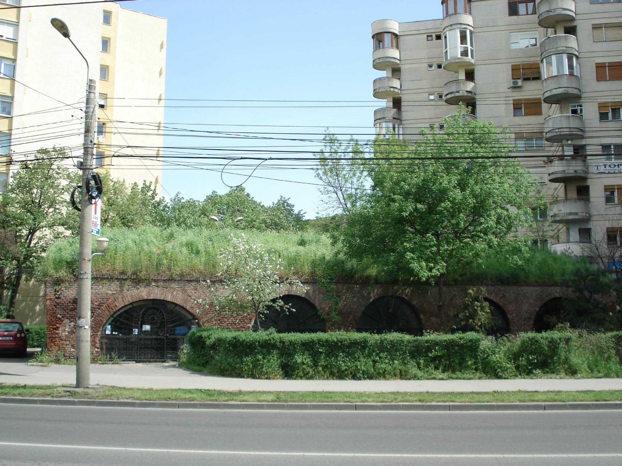 Cultural Events & Performances