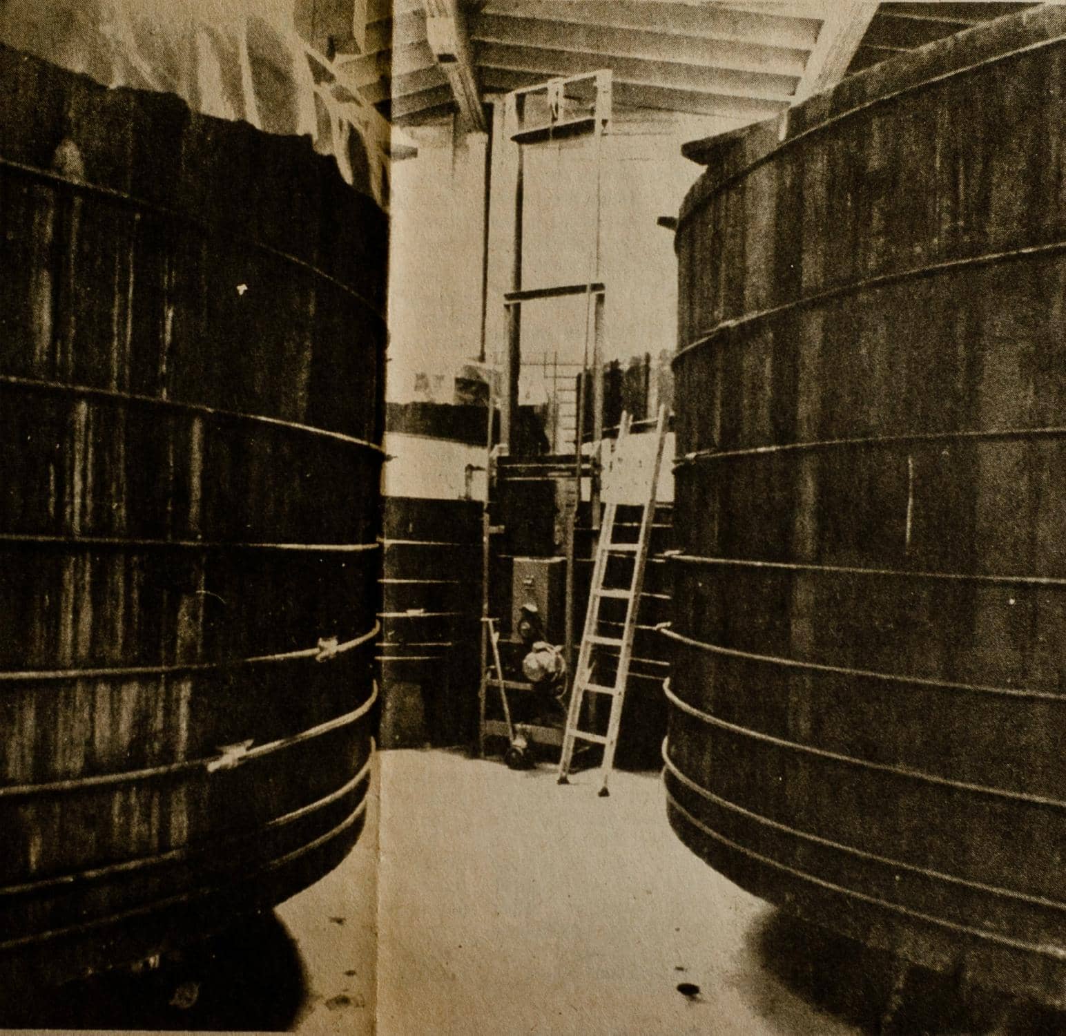 Honeywood Blackberry Mead