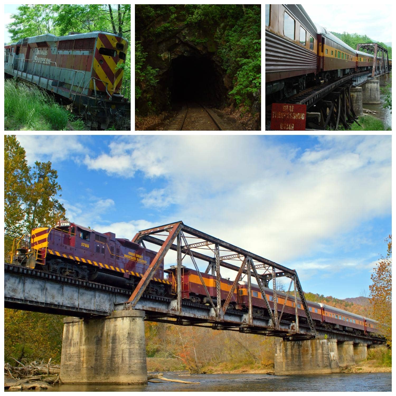 Nantahala Gorge Excursion