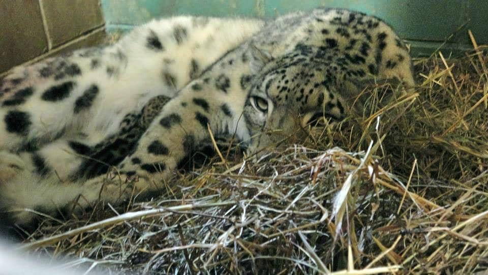 Interactive Model Train Display