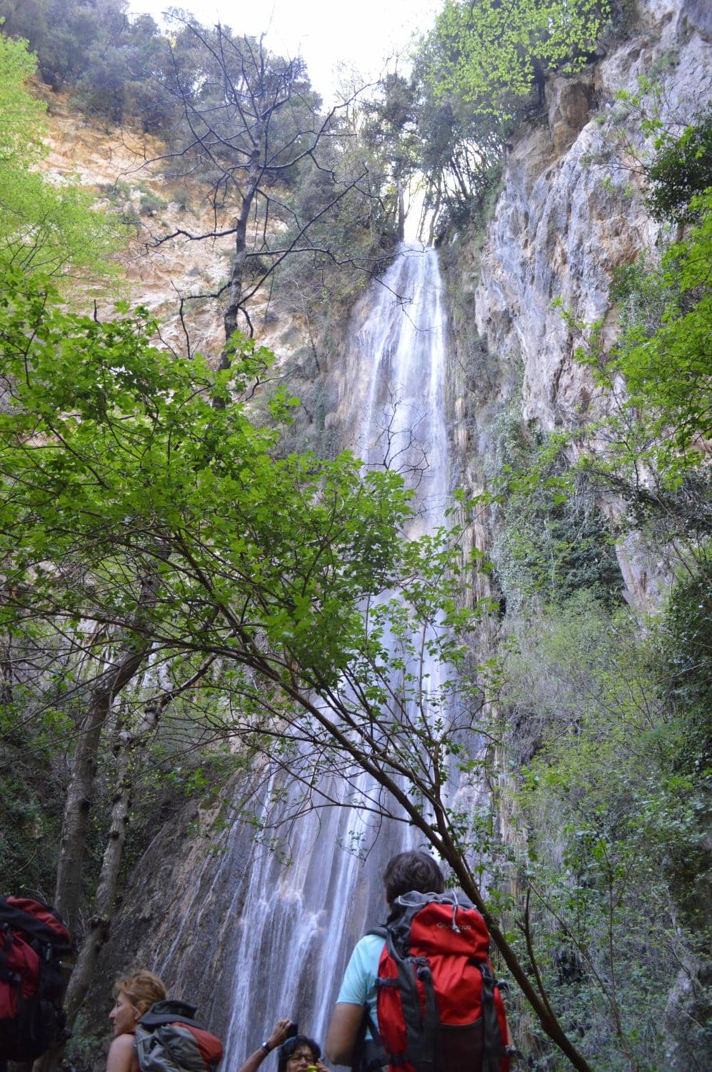 Vertical photo
