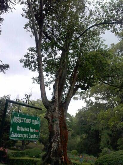Boating and Play Area