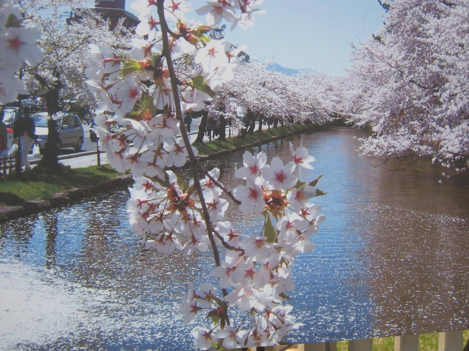 Hirosaki Castle