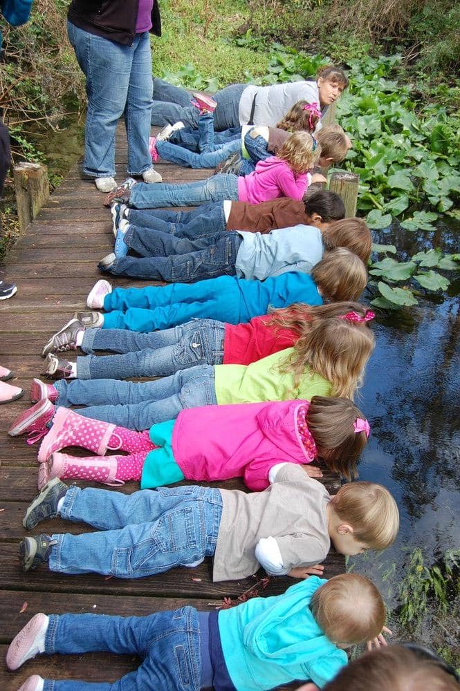 Accessible Nature Trails