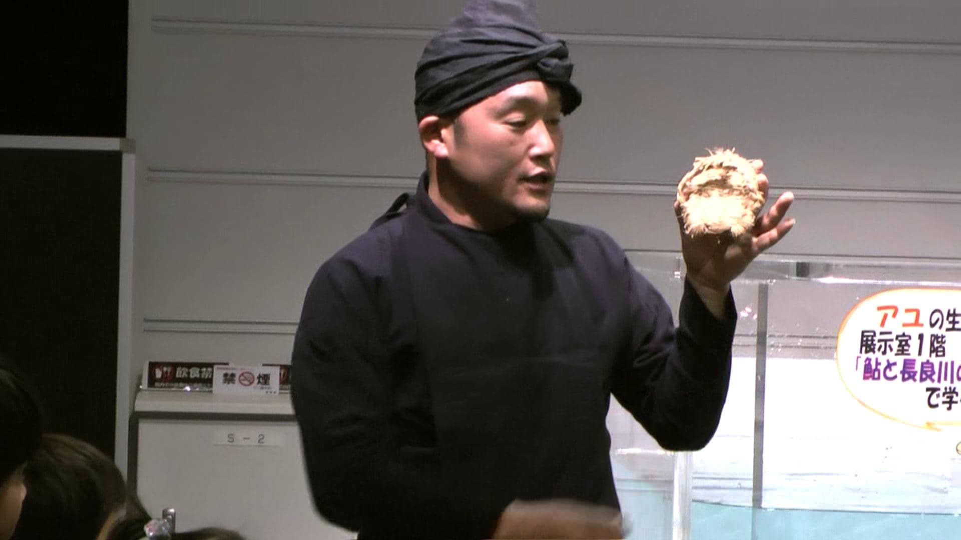 Stamp Collection Activity