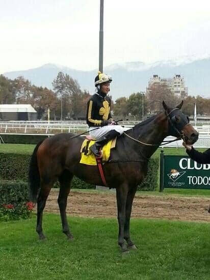 Horse Racing Action