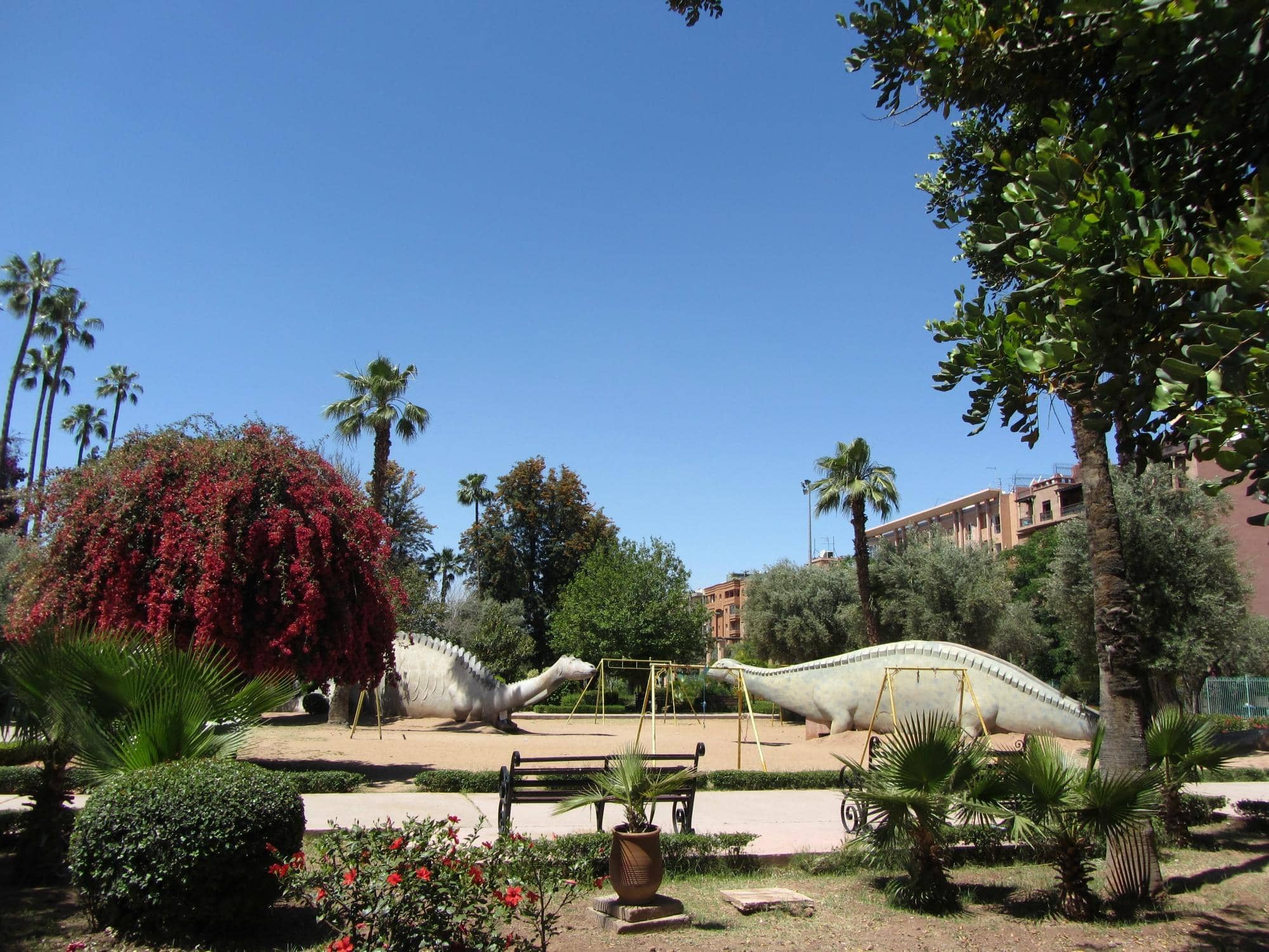 Tranquil Oasis