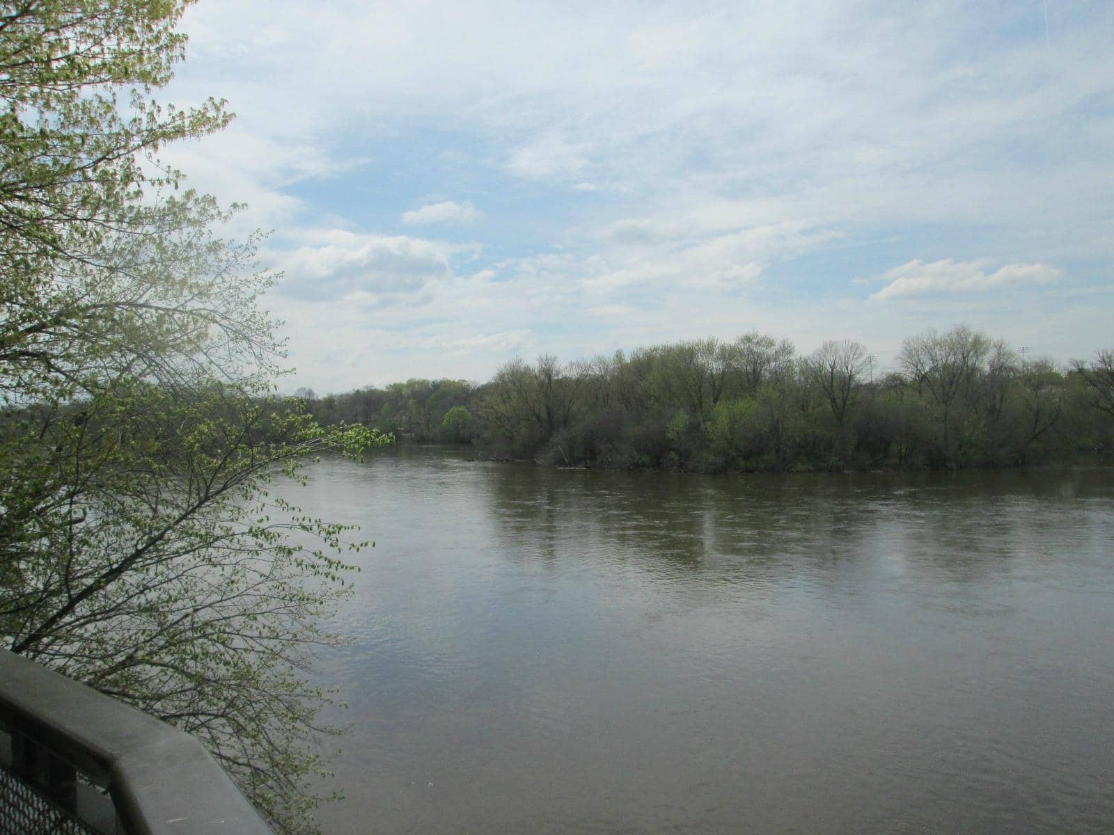 Nature Center Exhibits