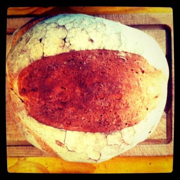 Seasonal & Organic Ingredients