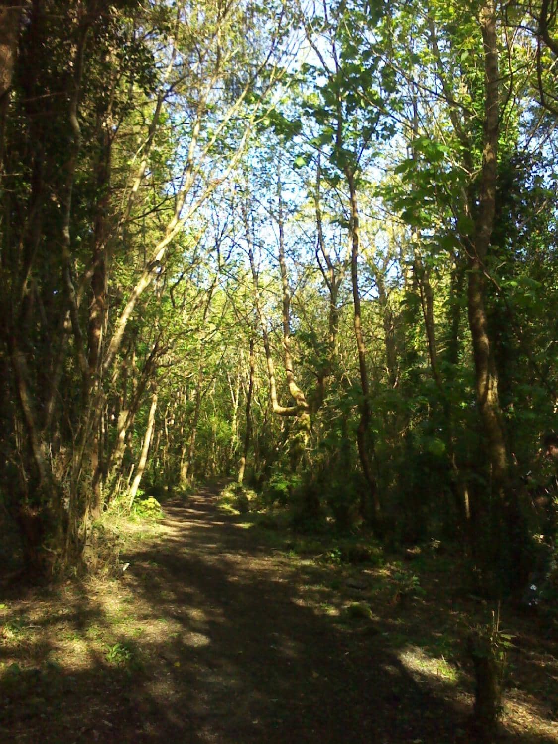 Biodiversity Exhibition