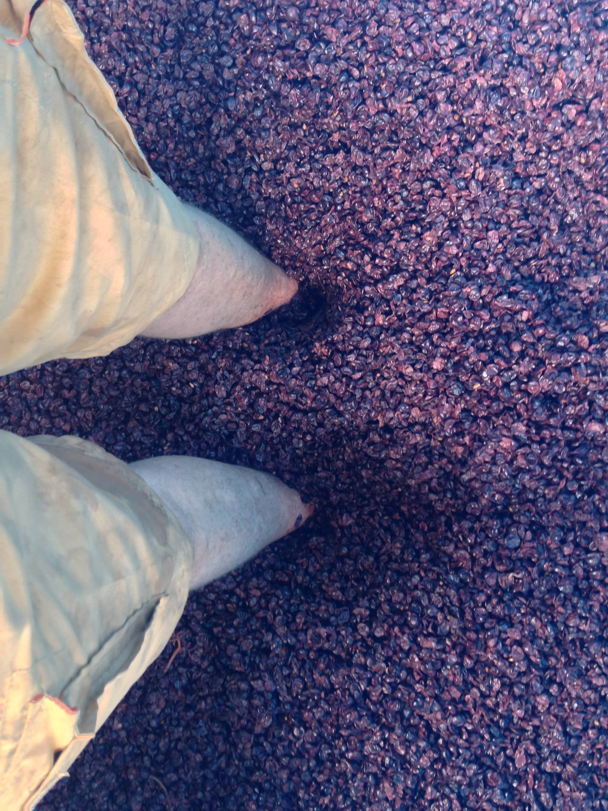 Vertical photo