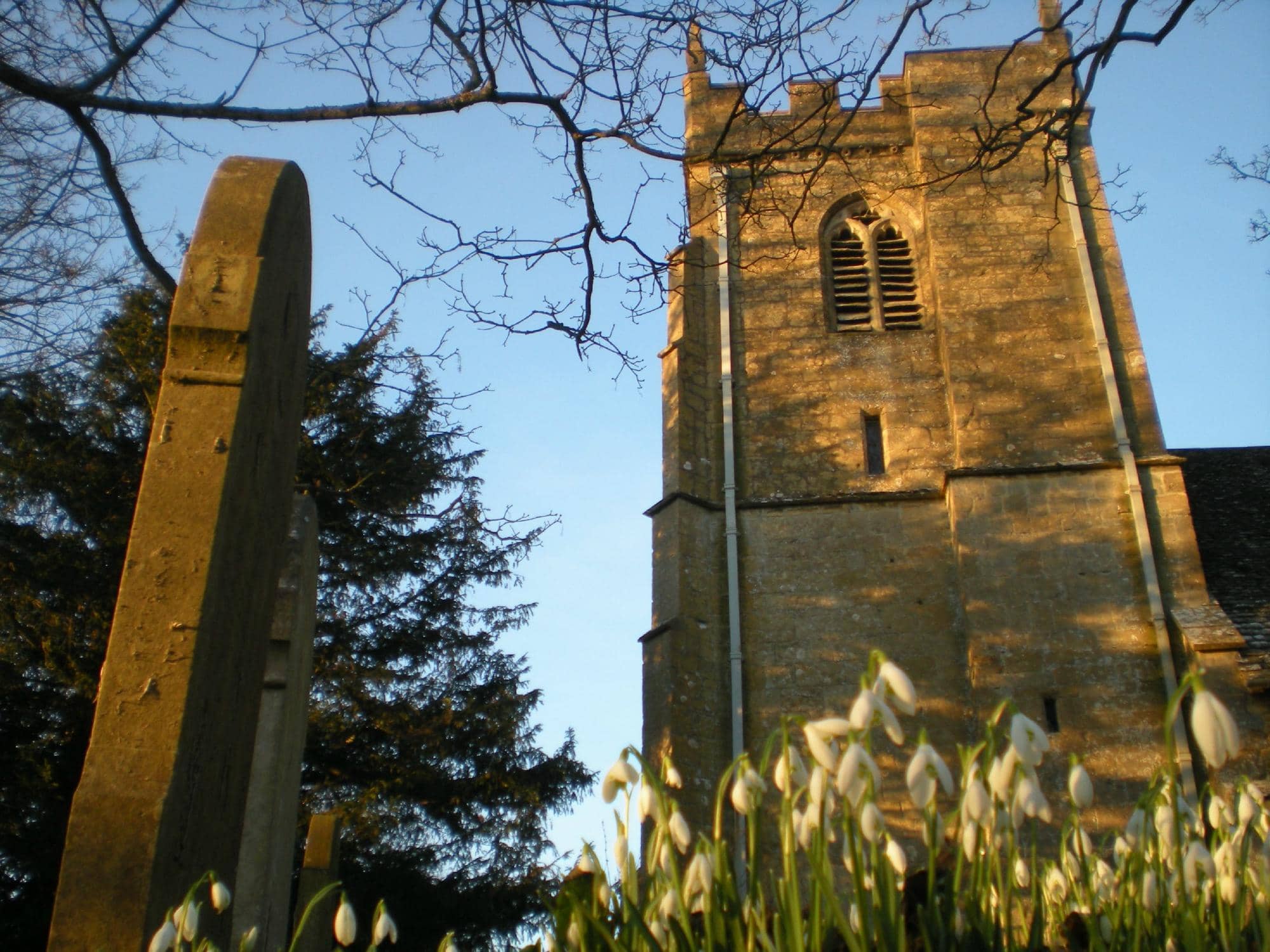 Vertical photo