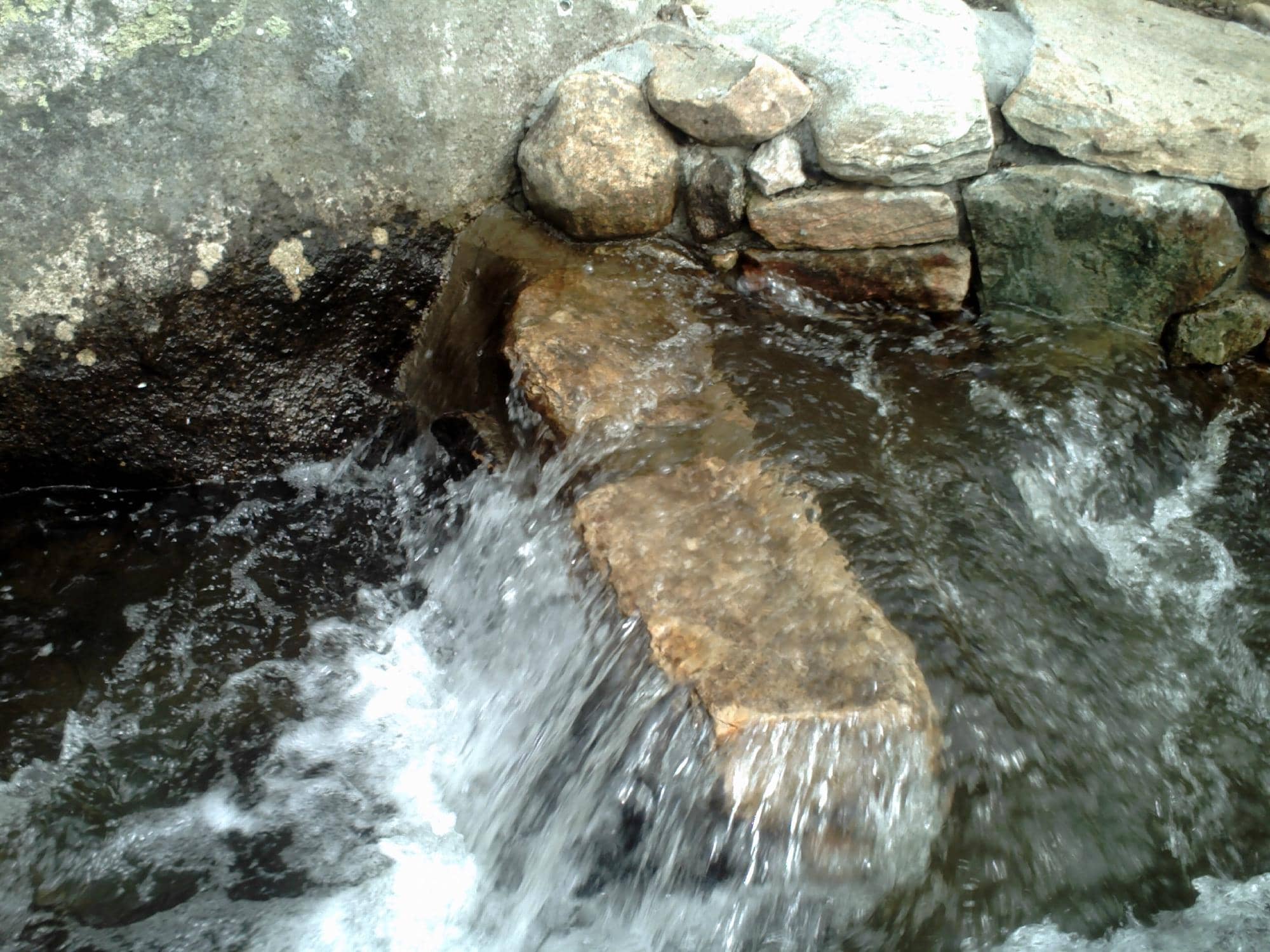 Vertical photo