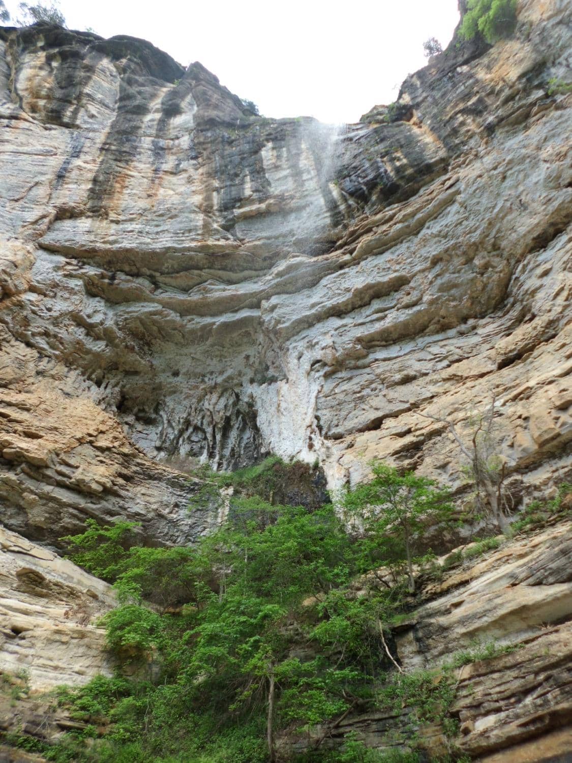 Vertical photo