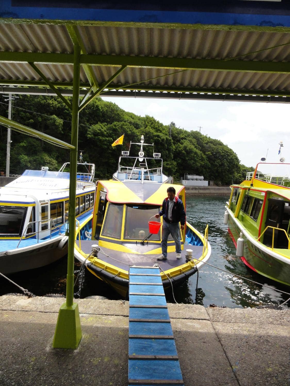 Pearl Cultivation History