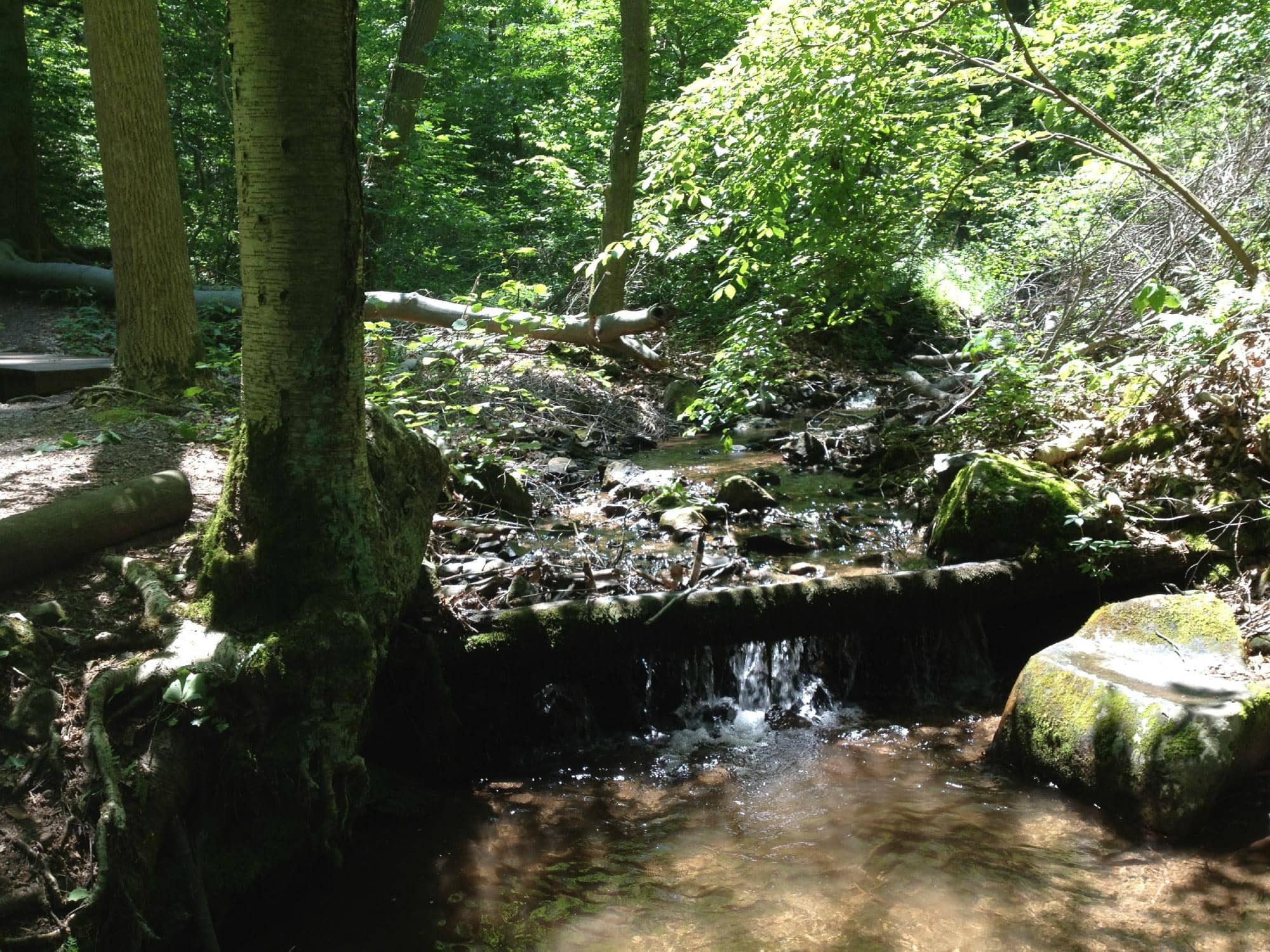 Environmental Education Center