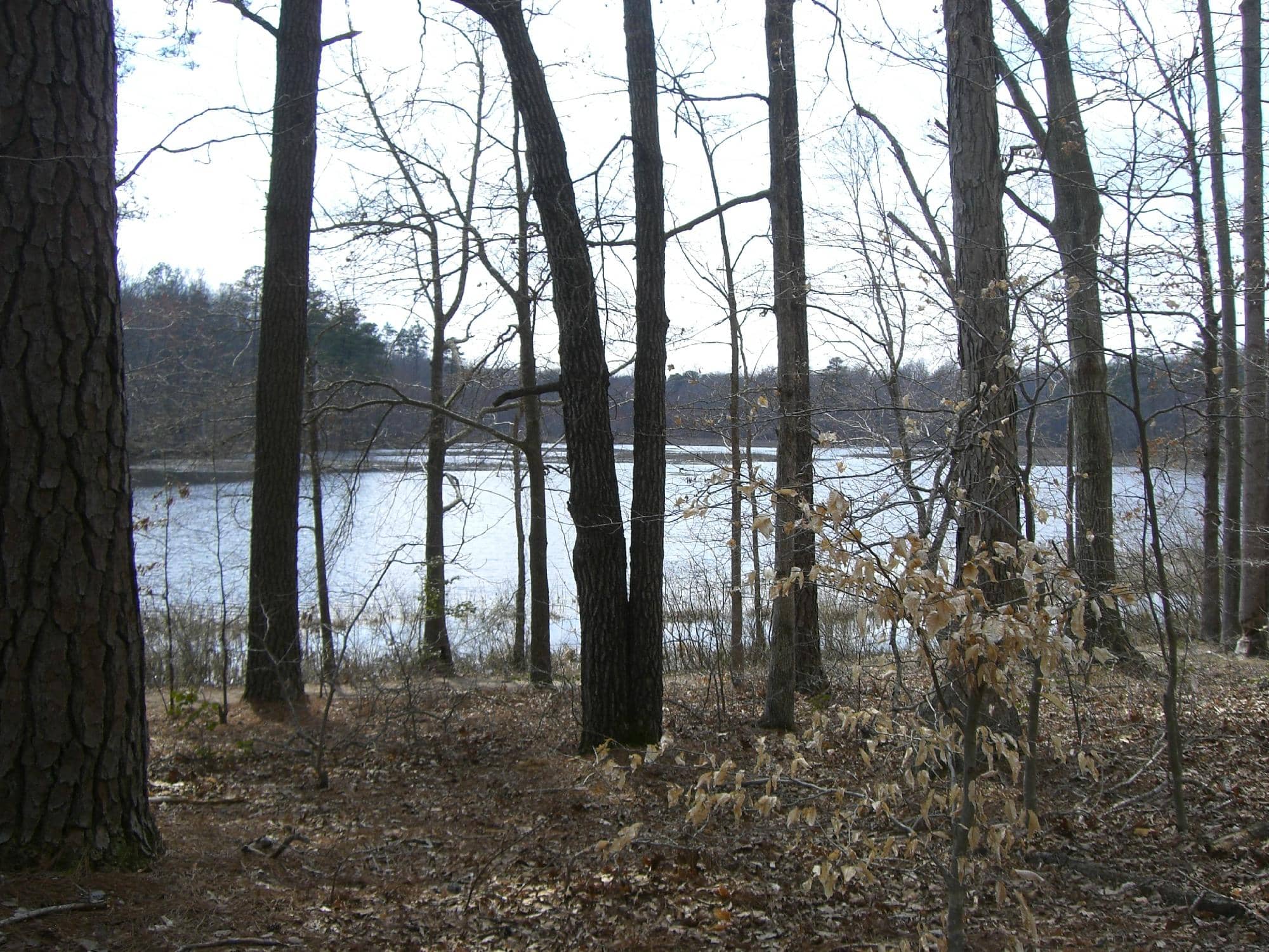 Mountain Bike Trails