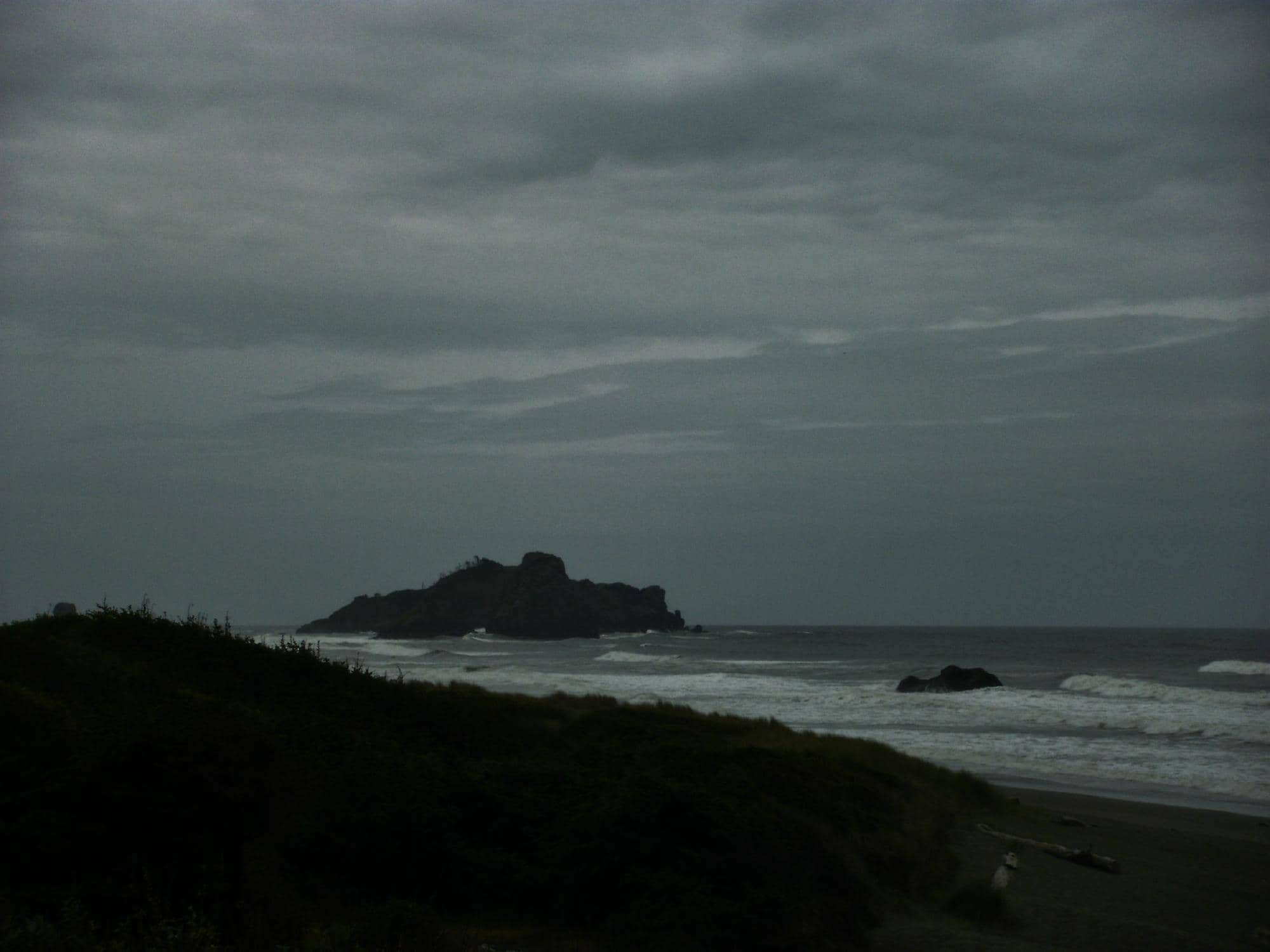 The Giant Tree Stump