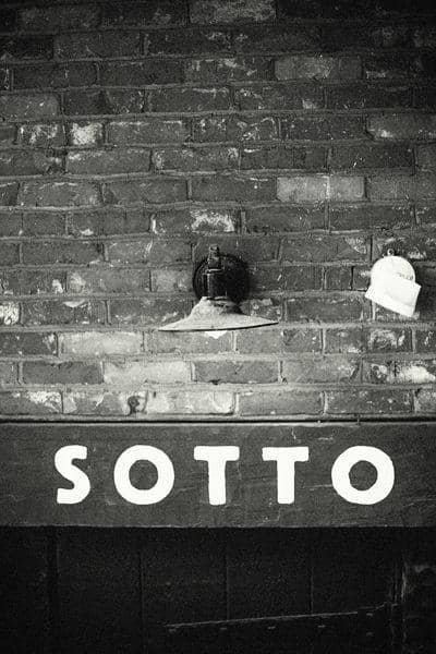 Delectable Ricotta Donuts