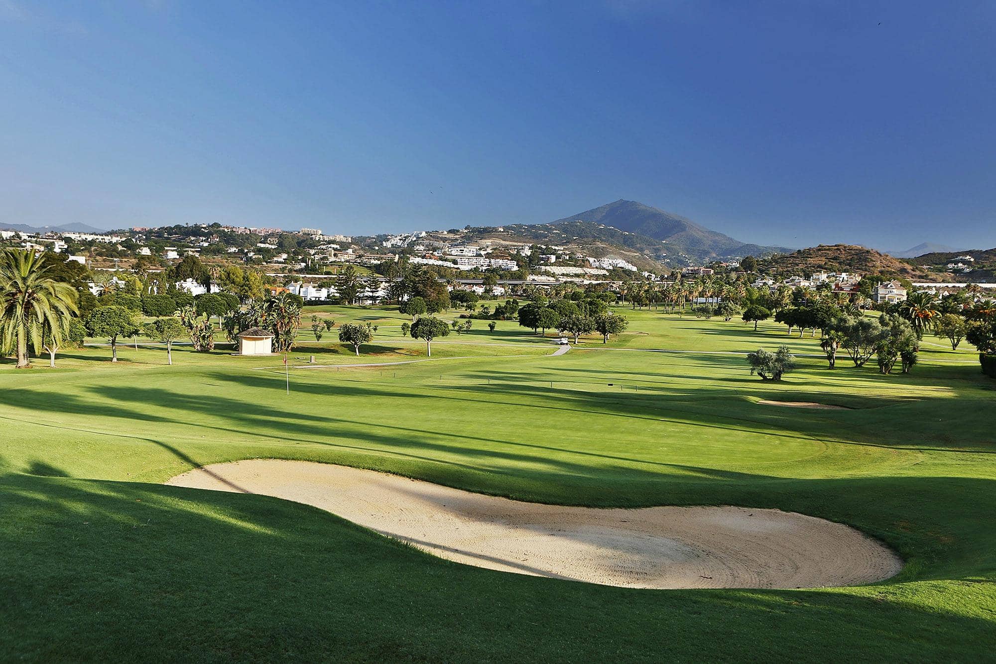 The 5th Hole Challenge