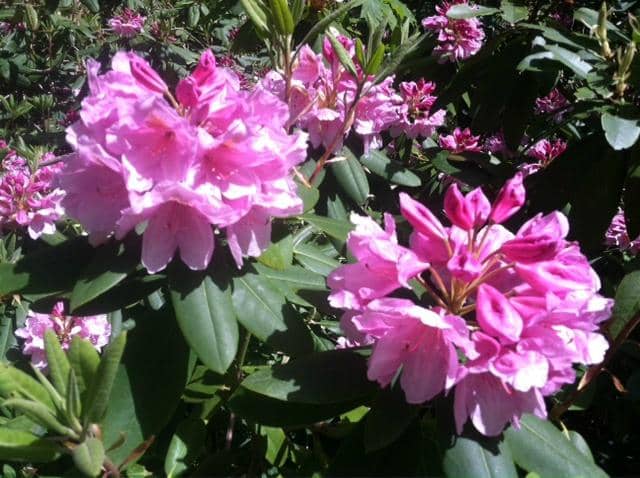 Merrimack River Views