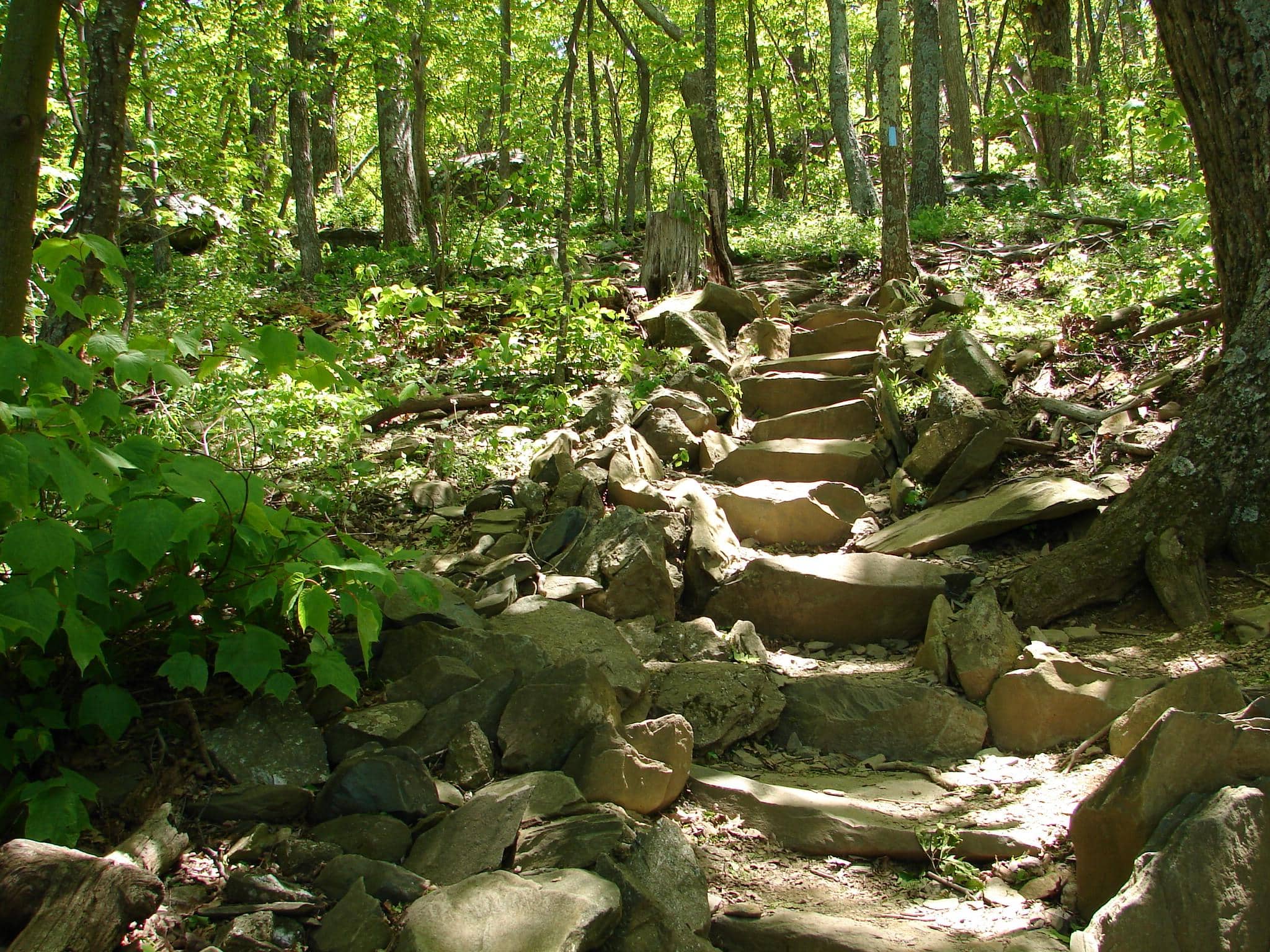 Historic Appalachian Trail Access
