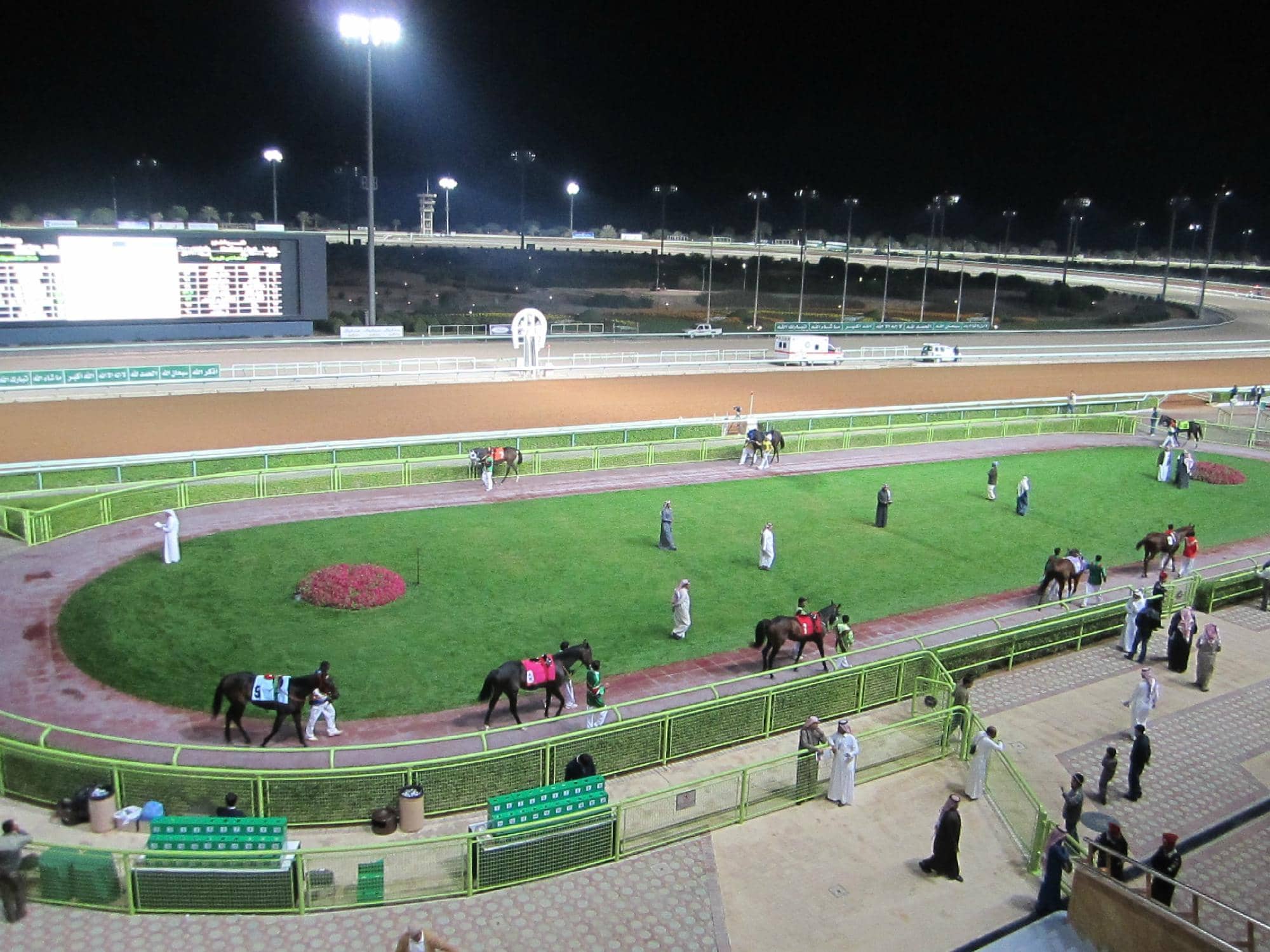 Champion Horse Races