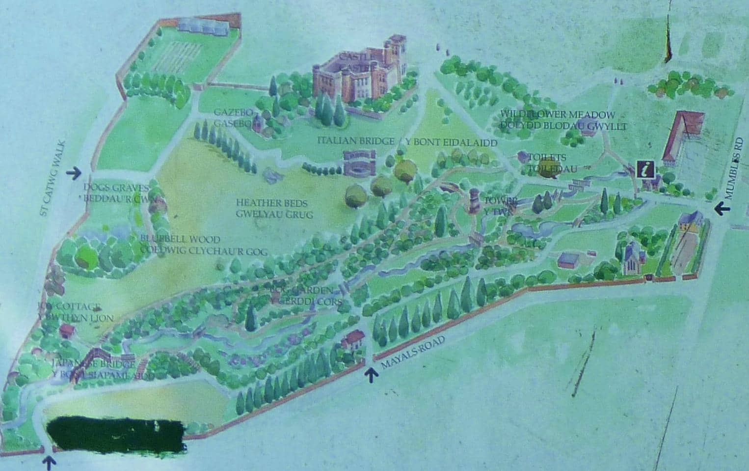 Rhododendron and Azalea Collection