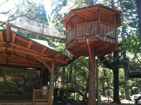 Refreshing Swimming Pool & Pond